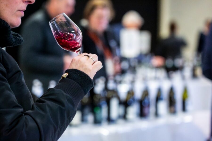 Eine Person hält ein Weinglas mit rotem Wein in der Hand, während im Hintergrund Flaschen auf einem Tisch stehen.