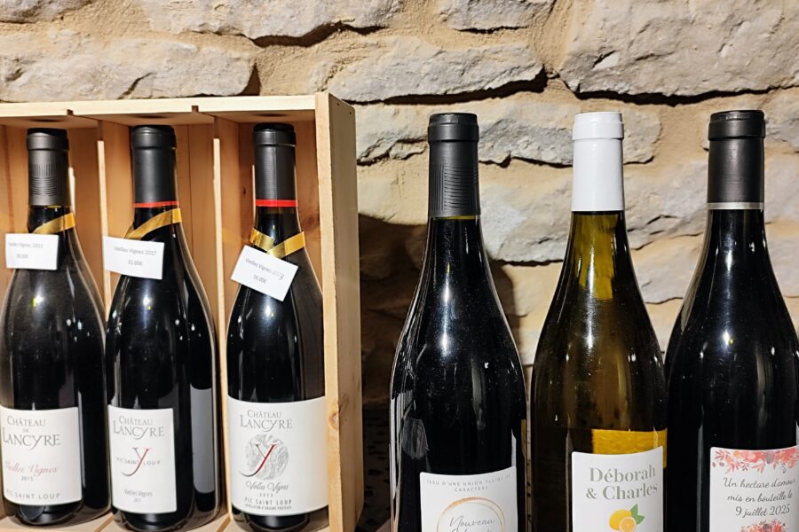 Sechs Weinflaschen in einer Holzbox und auf einem Regal, darunter verschiedene Weinsorten und Etiketten.